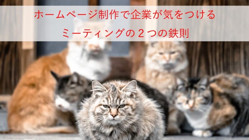 ホームページ制作で企業が気をつけるポイント