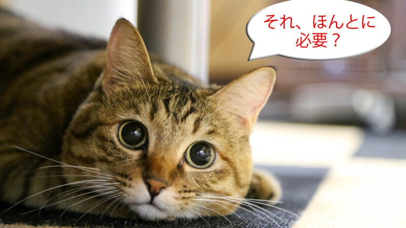 飲食店、美容院に集客ホームページは必要か？制作依頼前に読んで欲しい記事