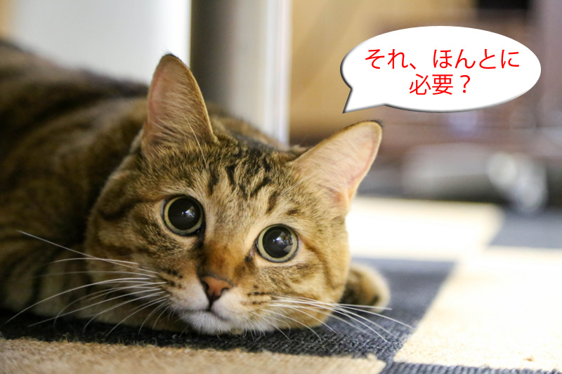 飲食店、美容院に集客ホームページは必要か?制作依頼前に読んで欲しい記事 飲食店、美容院に集客ホームページは必要か?制作依頼前に読んで欲しい記事