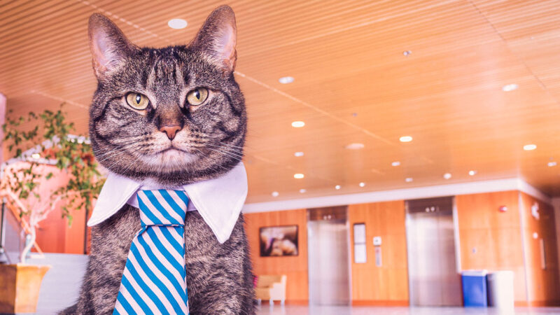 Webサイトユーザビリティを最小タスクで劇的に向上させる3つの事例