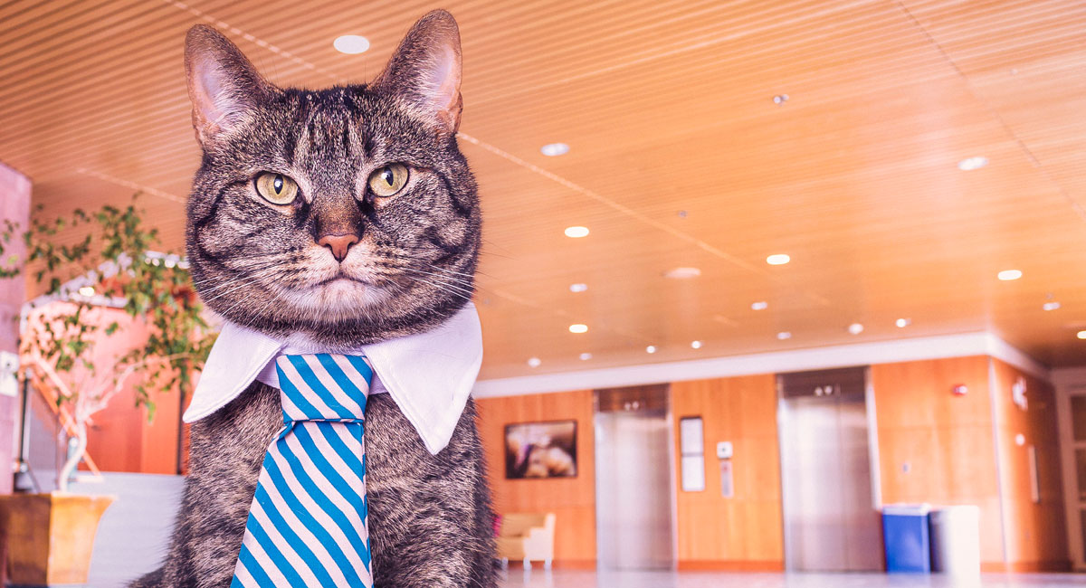 Webサイトユーザビリティを最小タスクで劇的に向上させる3つの事例 Webサイトユーザビリティを最小タスクで劇的に向上させる3つの事例