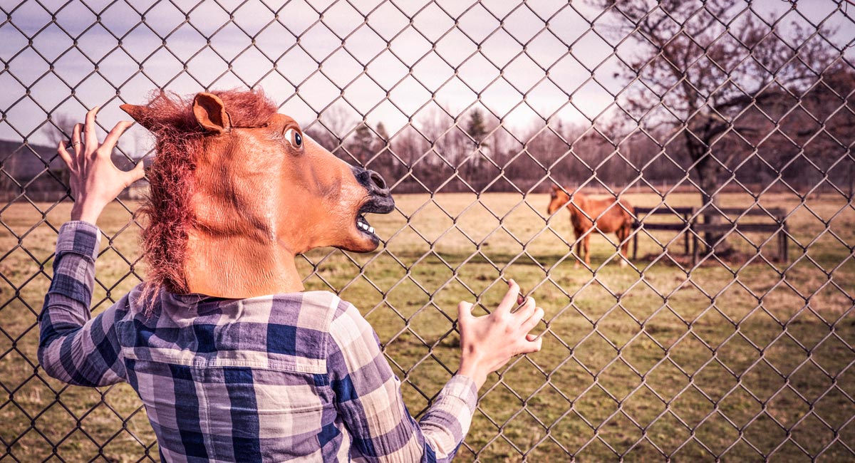 グーグルアナリティクスで自分のアクセスを除外する方法