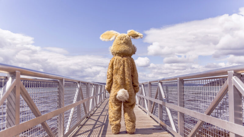 Webマーケッタになるには