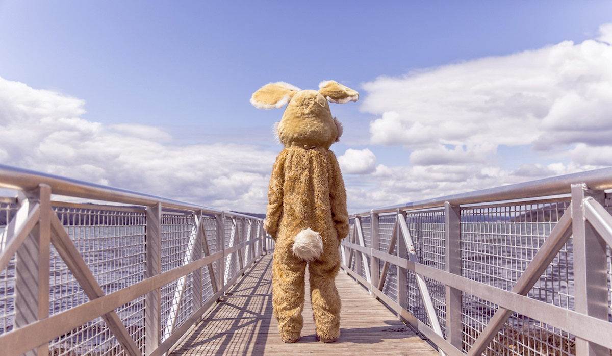 Webマーケッタになるには