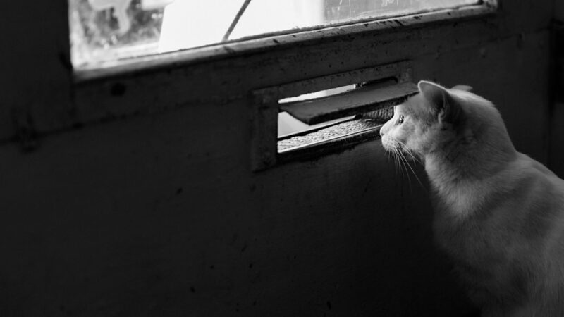 ブログ直帰率の改善