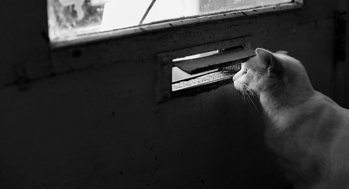 今すぐ取り入れられる集客力のあるブログ記事3つの書き方【直帰率編】 ブログ直帰率の改善