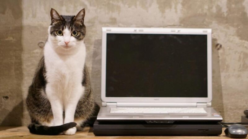 「見たことある＝使いやすい」というホームページ制作のロジック