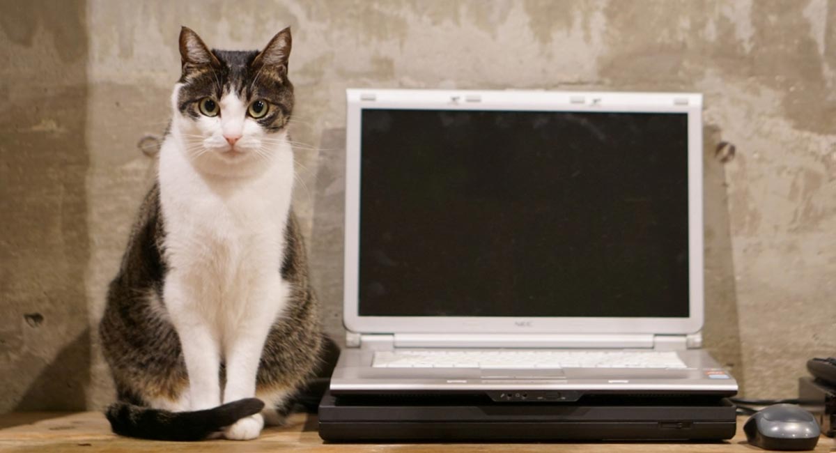 「見たことある＝使いやすい」というホームページ制作のロジック