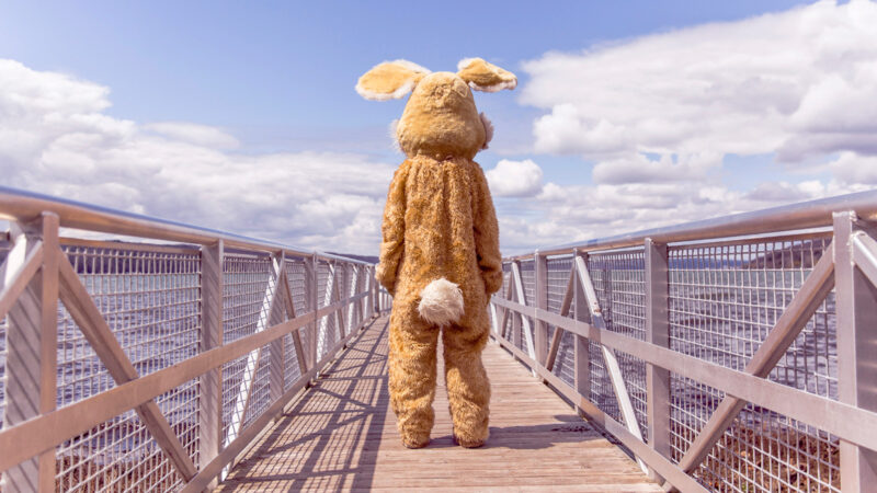 ホームページの新着情報の位置は適切か？