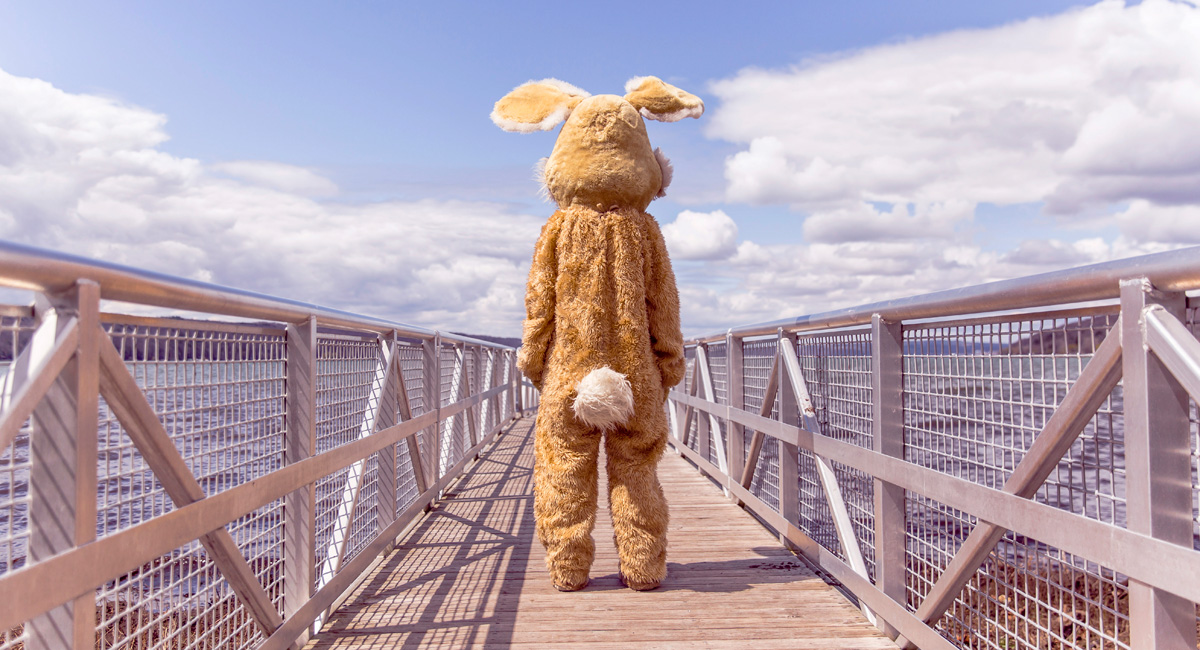 ホームページの新着情報の位置は適切か？