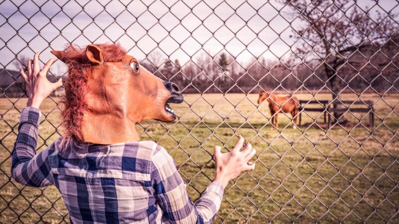 グーグルアナリティクスで自分のアクセスを除外する方法